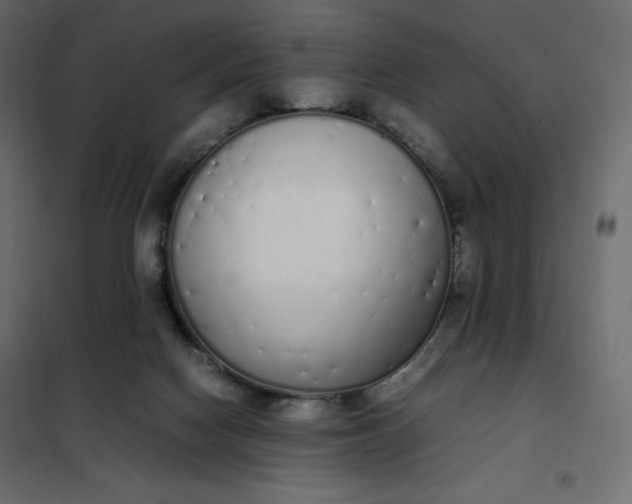 X0000102260074200808081411