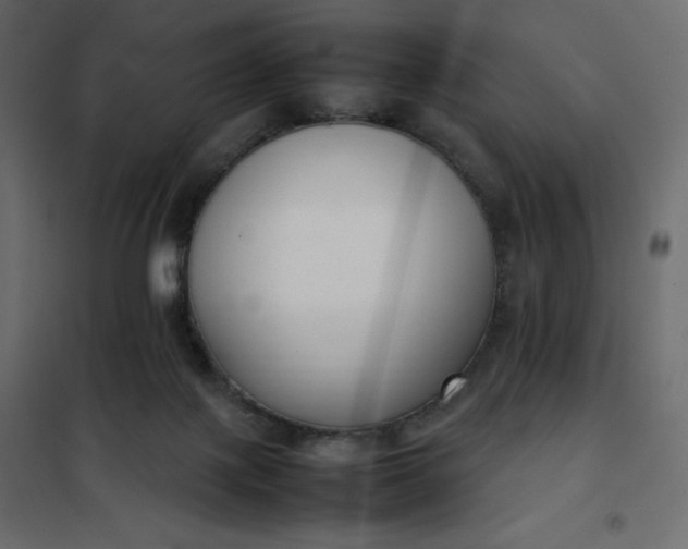 X0000102260075200808081411