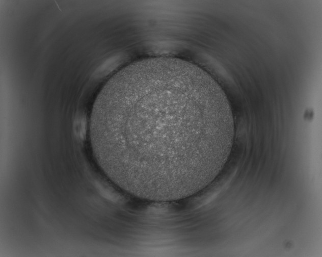 X0000102260076200808081411