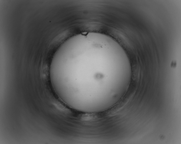 X0000102260077200808081411