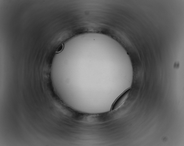 X0000102260078200808081411