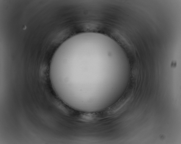 X0000102260079200808081411