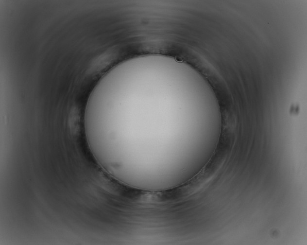 X0000102260080200808081411