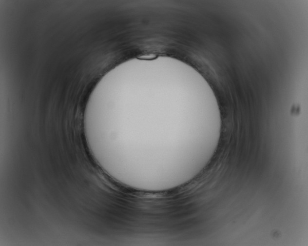 X0000102260081200808081411