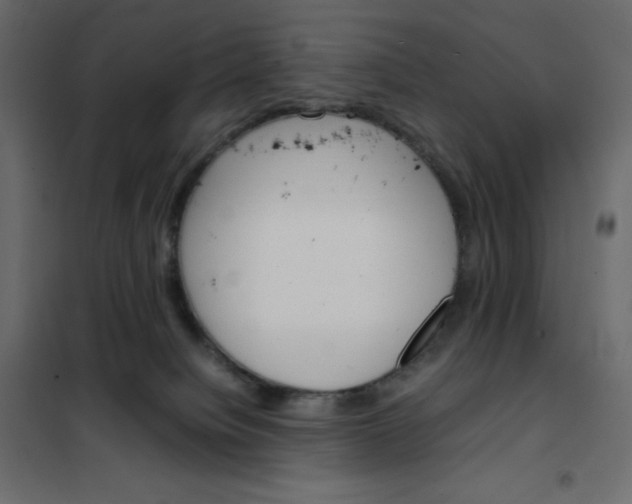 X0000102260084200808081411