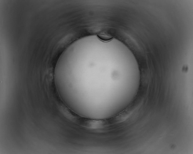 X0000102260085200808081411