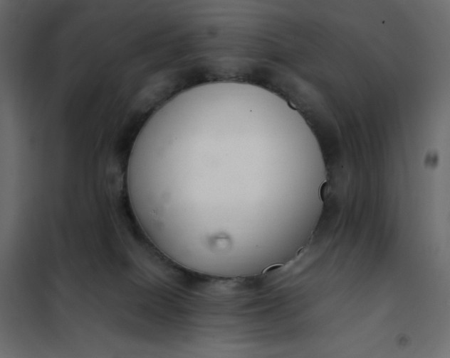 X0000102260086200808081411