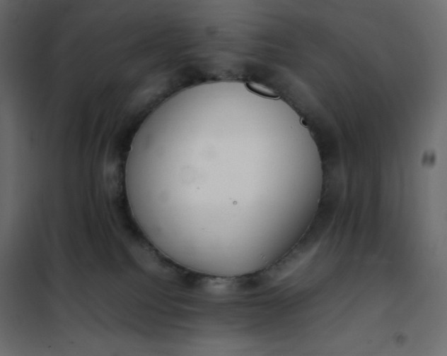 X0000102260088200808081411