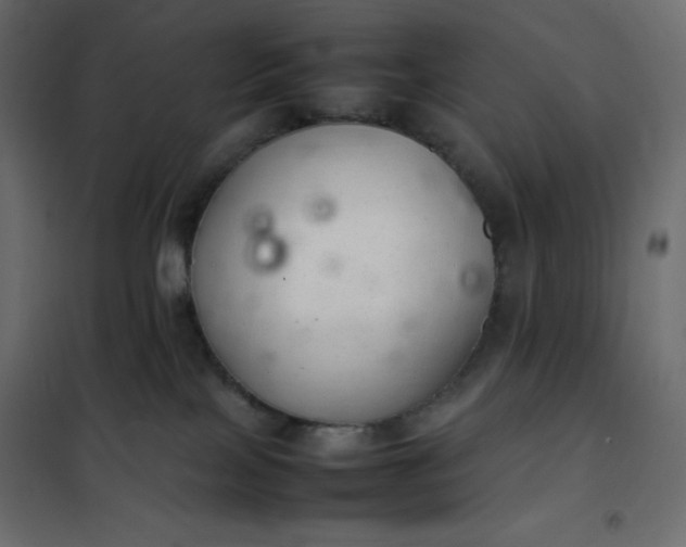 X0000102260089200808081411