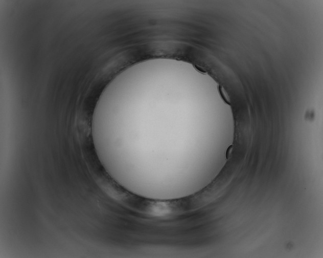 X0000102260091200808081412