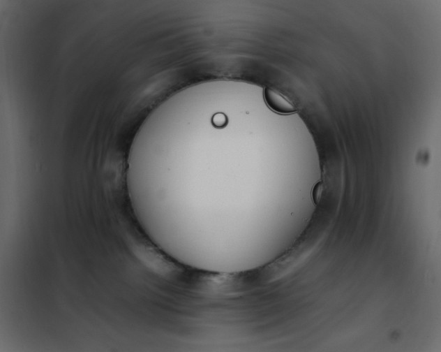 X0000102260092200808081412