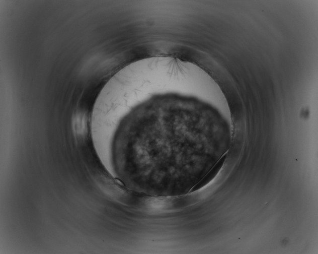 X0000102260094200808081412