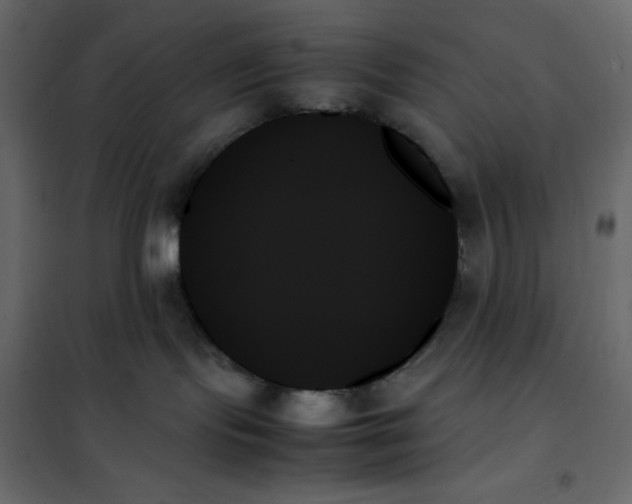 X0000102260095200808081412