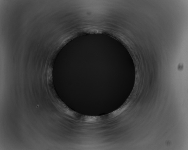 X0000102260096200808081412