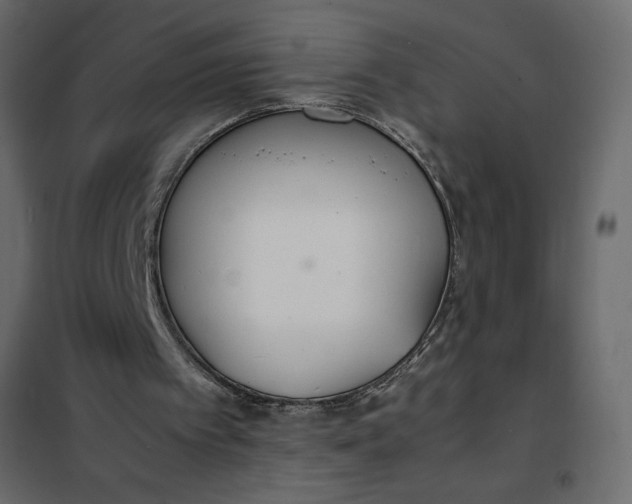 X0000102260097200808081411