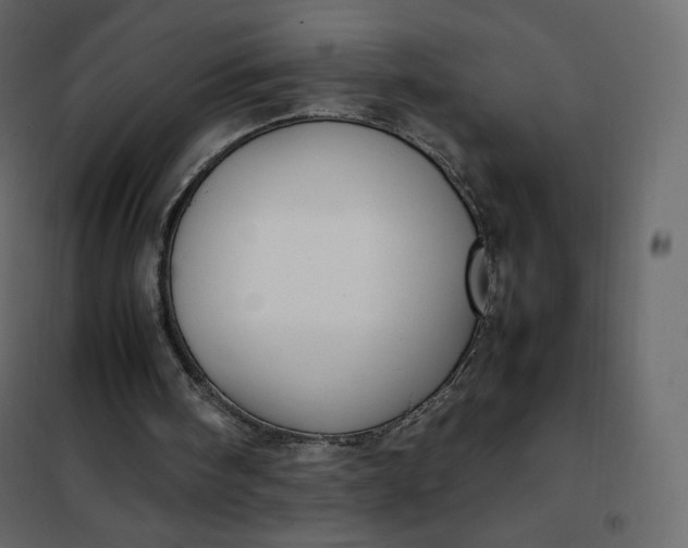 X0000102260098200808081411