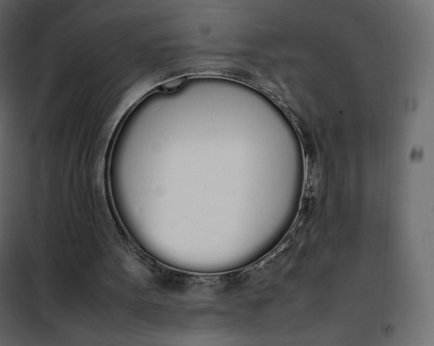 X0000102260099200808081411