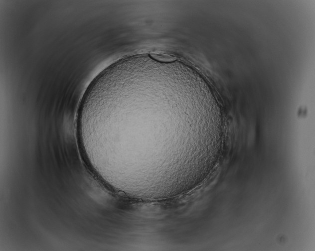 X0000102260100200808081411