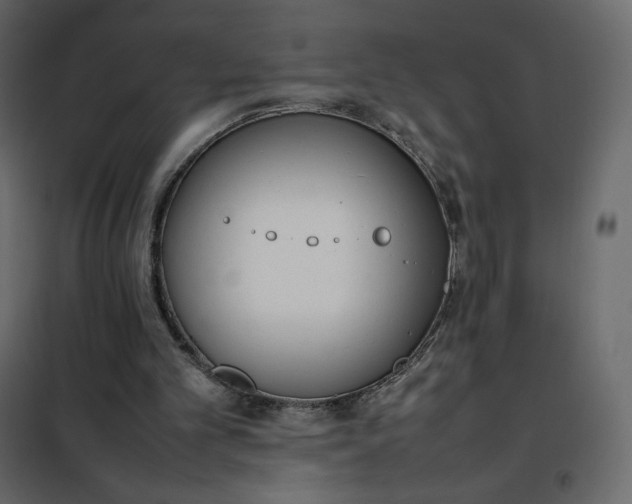 X0000102260101200808081411