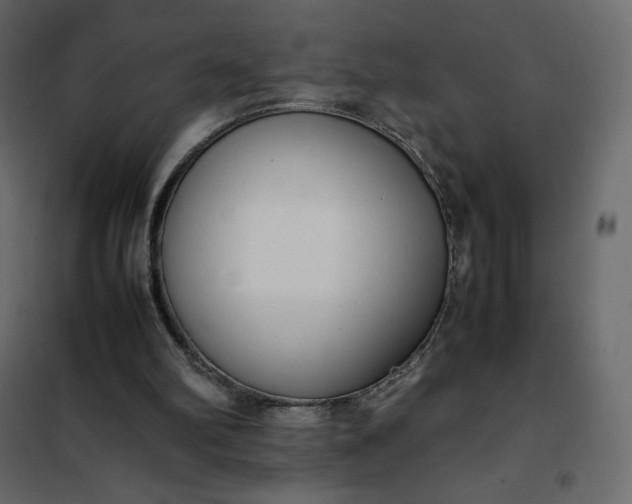 X0000102260102200808081411