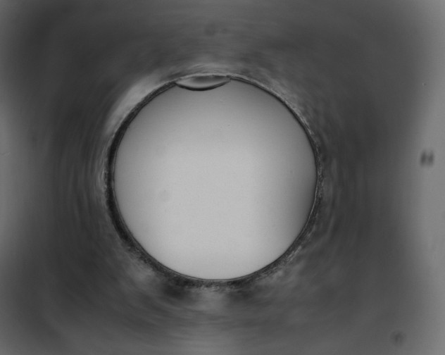 X0000102260103200808081411