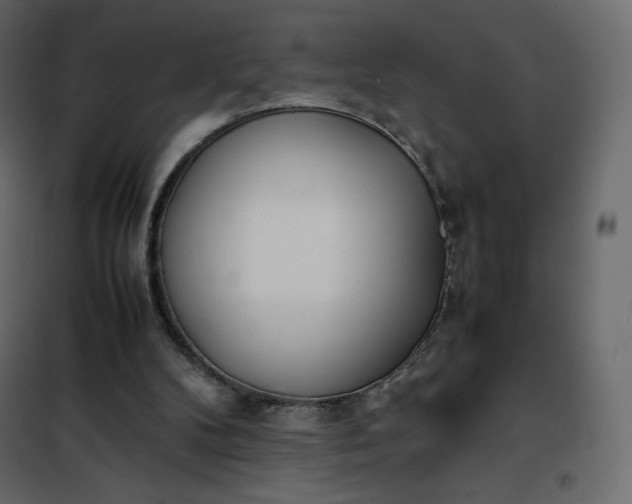 X0000102260104200808081411