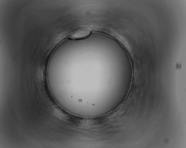 X0000102260105200808081411