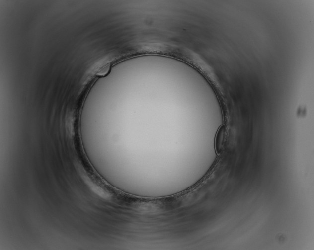 X0000102260106200808081411