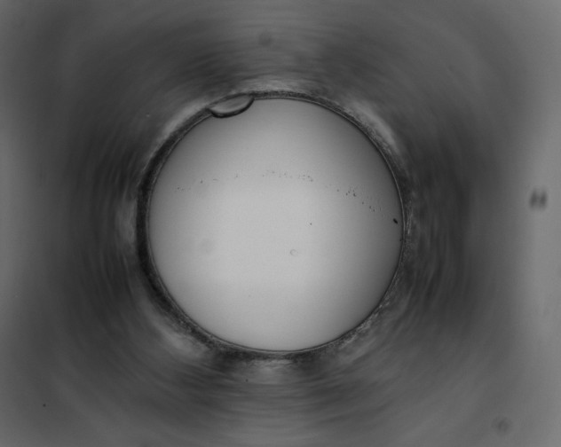 X0000102260108200808081411