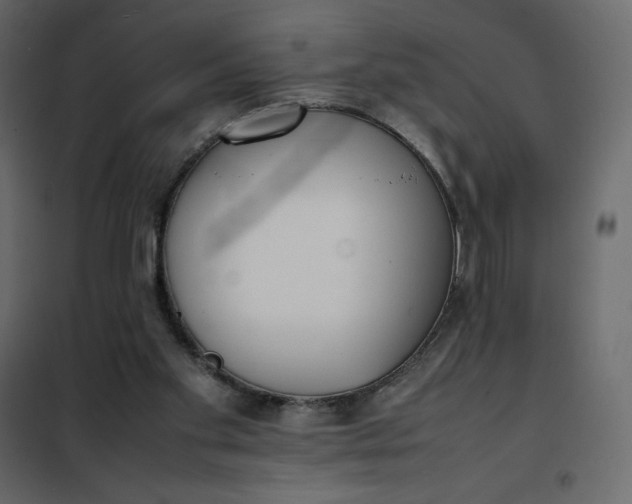 X0000102260109200808081411