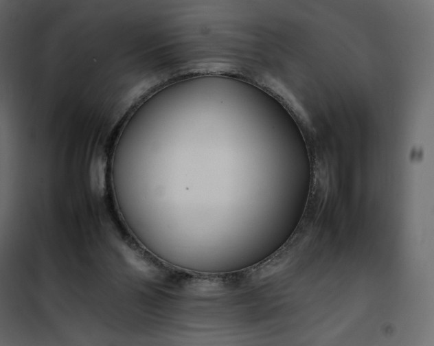 X0000102260110200808081411