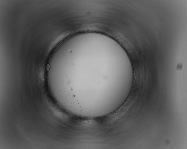 X0000102260112200808081411