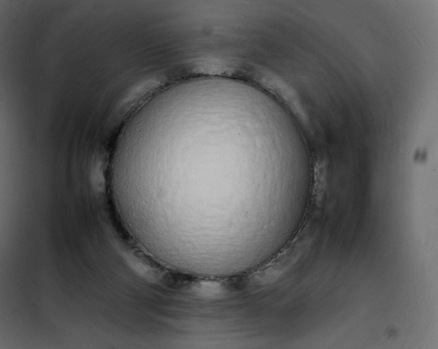 X0000102260114200808081411