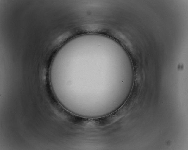 X0000102260115200808081411