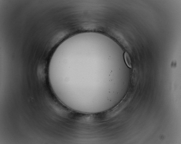 X0000102260116200808081411