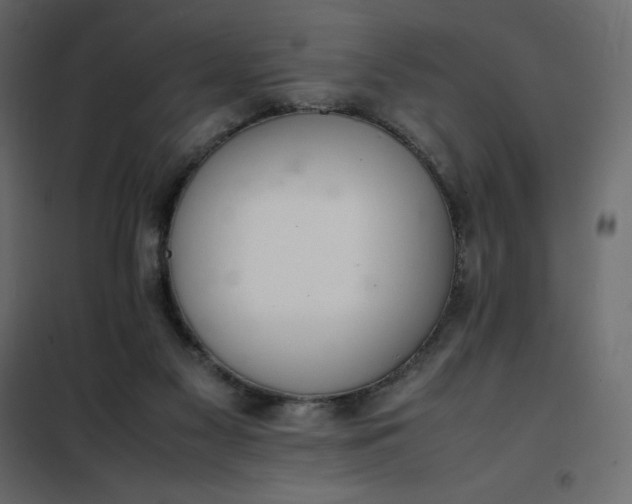 X0000102260117200808081411