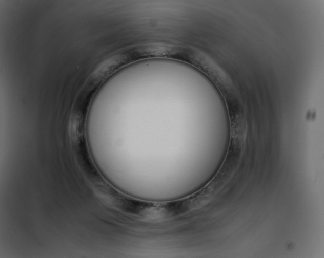 X0000102260119200808081411