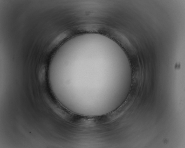 X0000102260120200808081411