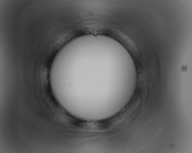 X0000102260121200808081411