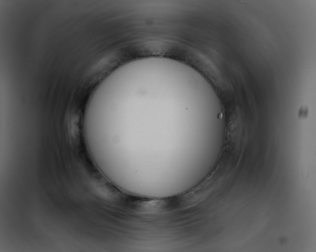 X0000102260122200808081411