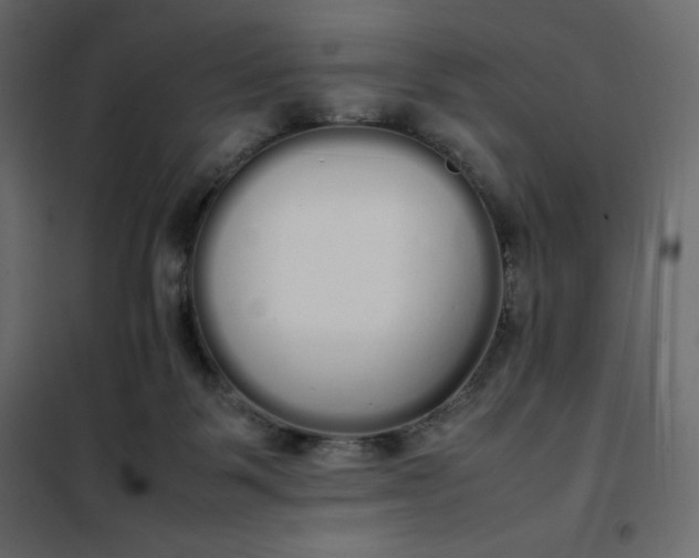 X0000102260123200808081410