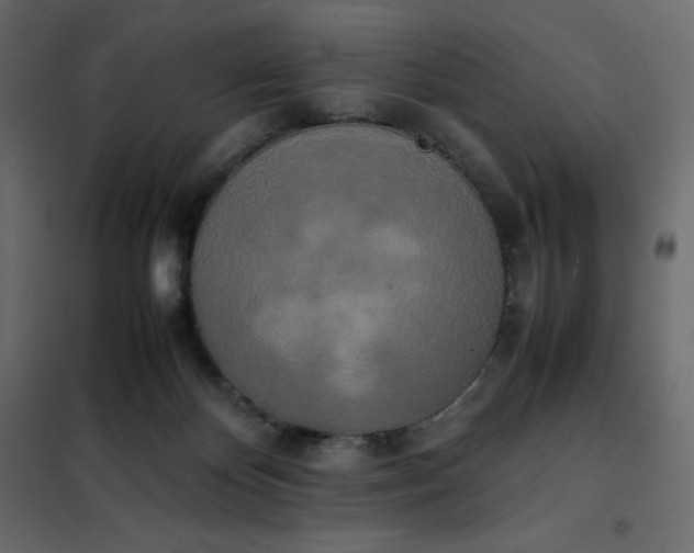 X0000102260124200808081410