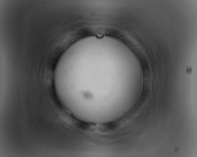 X0000102260125200808081410