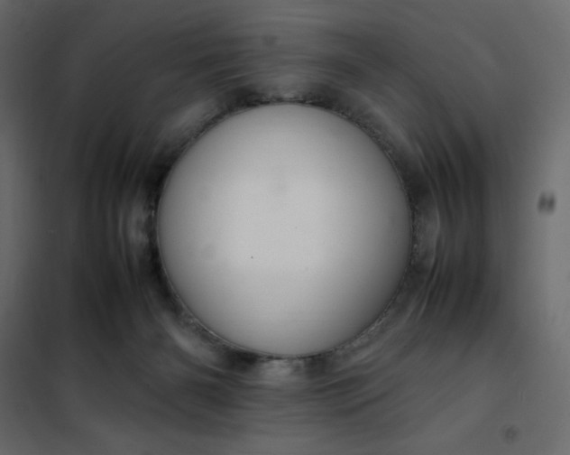 X0000102260126200808081410