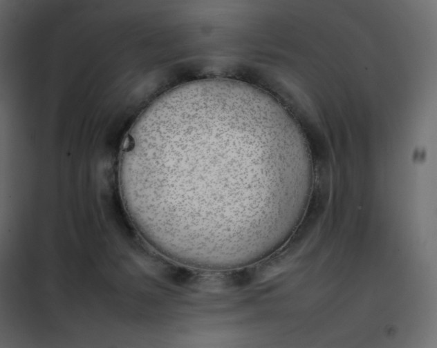 X0000102260127200808081410