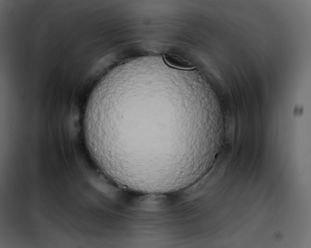 X0000102260128200808081410