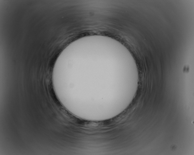 X0000102260129200808081410