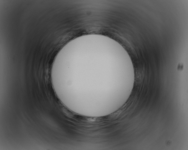 X0000102260130200808081410