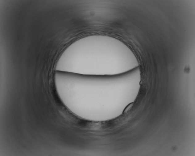 X0000102260131200808081410