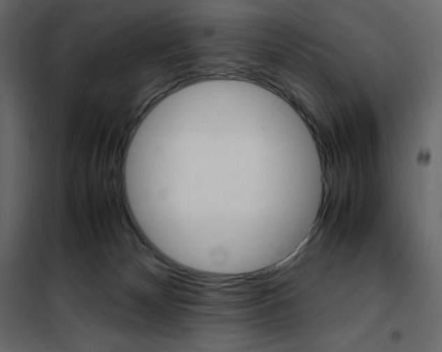 X0000102260132200808081410